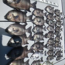 磯部釣船 直栄丸 釣果