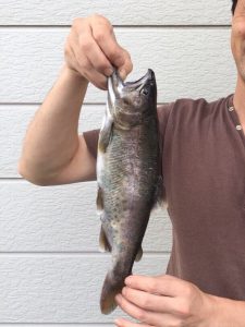 会津大川（会津非出資漁業協同組合） 釣果