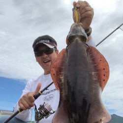 四国西南部のアオリイカエギング！夏イカシーズンに向けて！！【ジャイアン氏連載記事No.22】