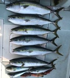 さぶろう丸 釣果