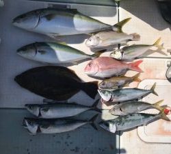 さぶろう丸 釣果