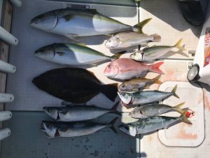さぶろう丸 釣果