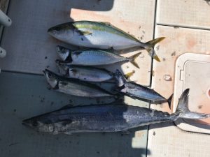 さぶろう丸 釣果