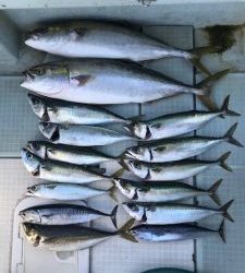 さぶろう丸 釣果