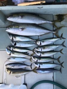 さぶろう丸 釣果