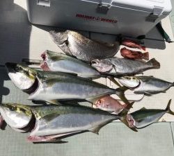 さぶろう丸 釣果