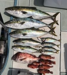 さぶろう丸 釣果