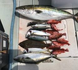 さぶろう丸 釣果