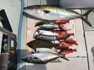 さぶろう丸 釣果