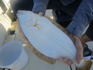 兼六丸 釣果
