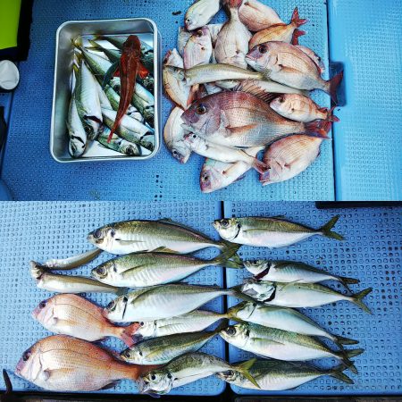 第二常豊丸 釣果