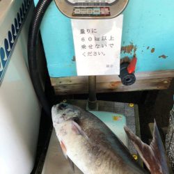 網屋丸 釣果