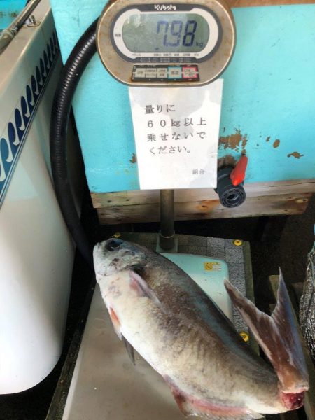 網屋丸 釣果