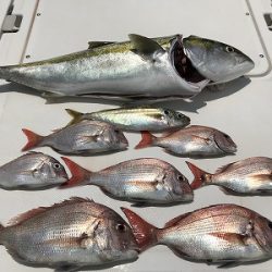 フィシングボートAir(エアー) 釣果