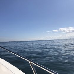 フィシングボートAir(エアー) 釣果