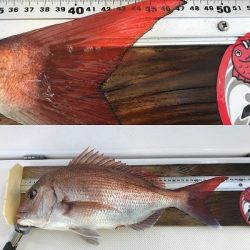 フィシングボートAir(エアー) 釣果