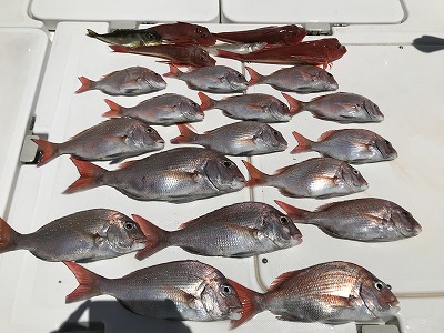 フィシングボートAir(エアー) 釣果