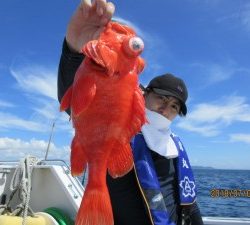 太郎丸 釣果