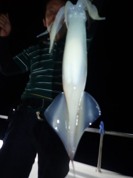 Aquanaut(アクアノート) 釣果