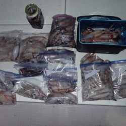 Aquanaut(アクアノート) 釣果