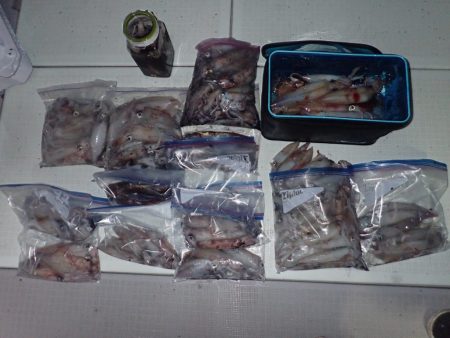 Aquanaut(アクアノート) 釣果