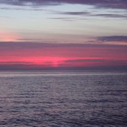 Aquanaut（アクアノート） 釣果