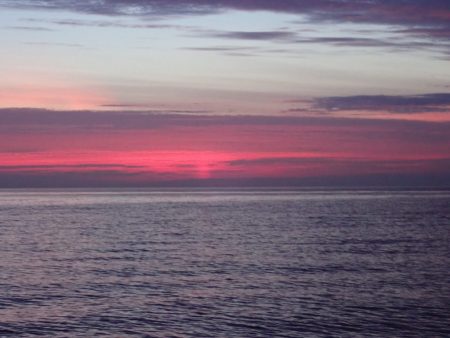 Aquanaut（アクアノート） 釣果