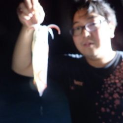 Aquanaut（アクアノート） 釣果