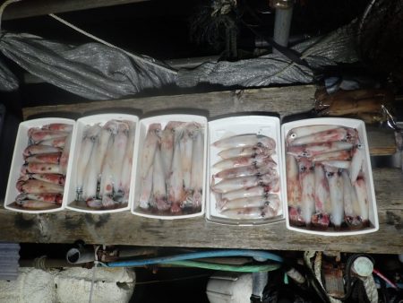 Aquanaut（アクアノート） 釣果