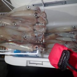 Aquanaut（アクアノート） 釣果