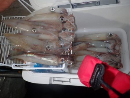 Aquanaut（アクアノート） 釣果