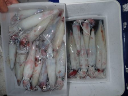 Aquanaut（アクアノート） 釣果