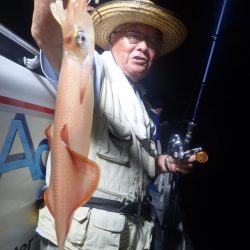 Aquanaut(アクアノート) 釣果