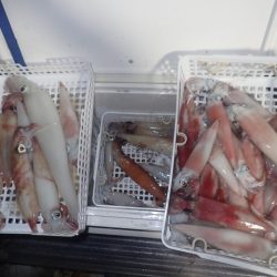 Aquanaut(アクアノート) 釣果