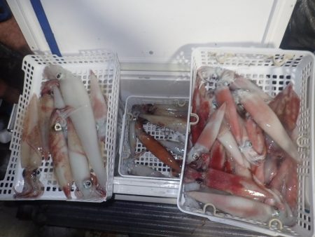 Aquanaut(アクアノート) 釣果