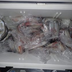 Aquanaut(アクアノート) 釣果