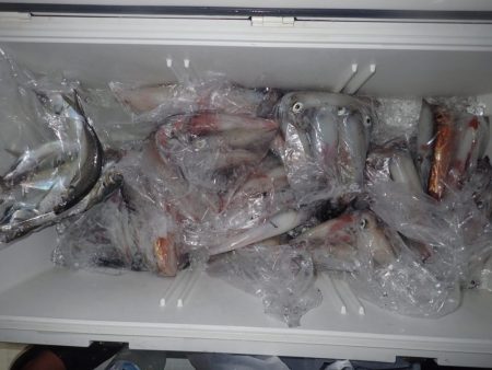 Aquanaut(アクアノート) 釣果