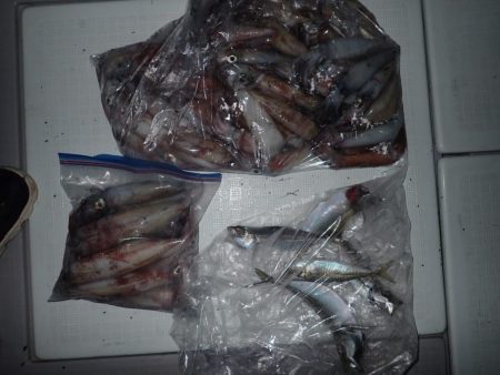 Aquanaut(アクアノート) 釣果