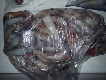 Aquanaut(アクアノート) 釣果