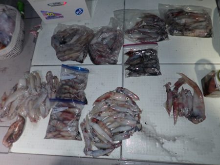 Aquanaut(アクアノート) 釣果