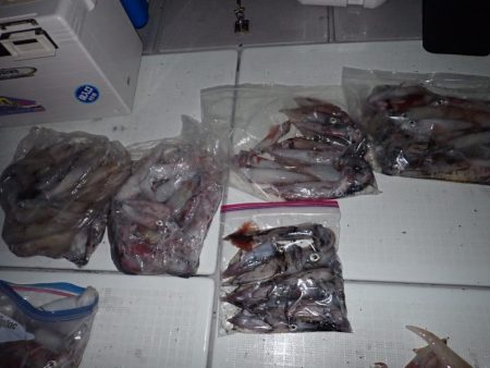 Aquanaut(アクアノート) 釣果