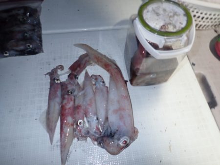 Aquanaut(アクアノート) 釣果