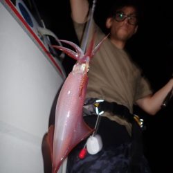 Aquanaut(アクアノート) 釣果