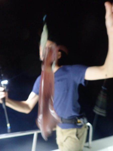 Aquanaut(アクアノート) 釣果