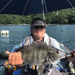 愛媛県御荘湾のカセでのダンゴ釣りに初チャレンジ【飛利浦氏連載 vol.2】