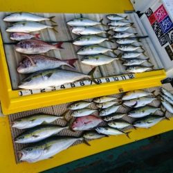 火遠理丸(ほおりまる) 釣果