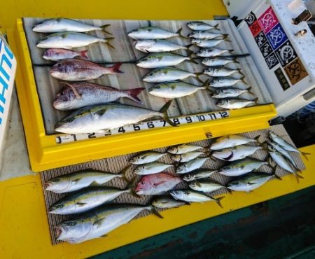 火遠理丸(ほおりまる) 釣果