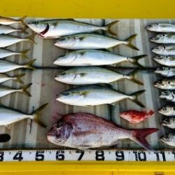 火遠理丸(ほおりまる) 釣果