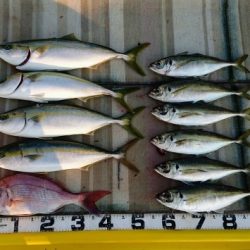 火遠理丸(ほおりまる) 釣果