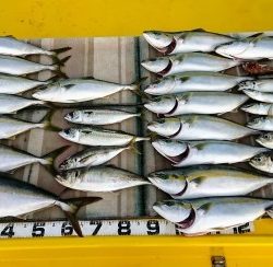 火遠理丸（ほおりまる） 釣果